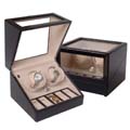 Double watch winder with watch case